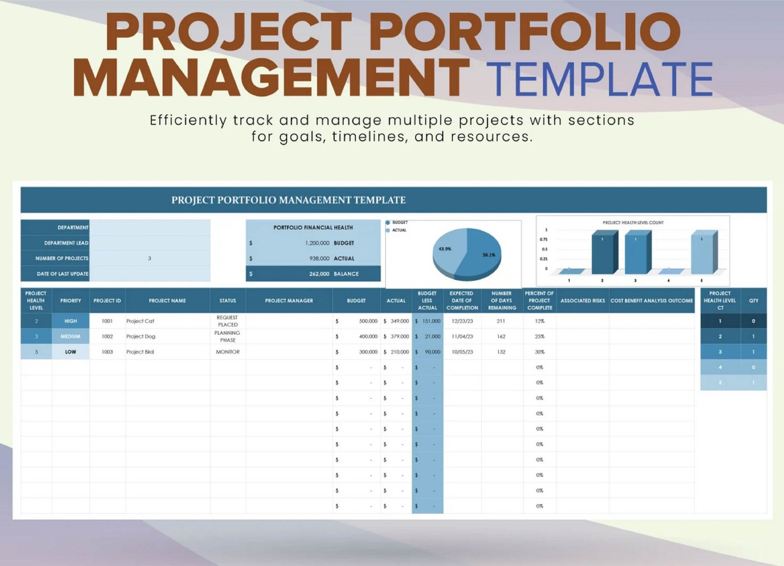 Project Portfolio Management Template